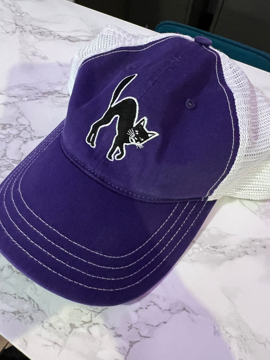 Purple Classic Jinx Snap Back Hat